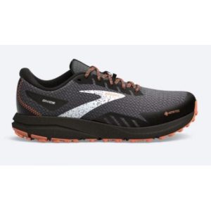 Brooks Divide 4 GTX