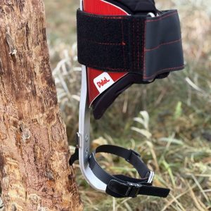 Distel Alu 3.1 Ratchet-Strap